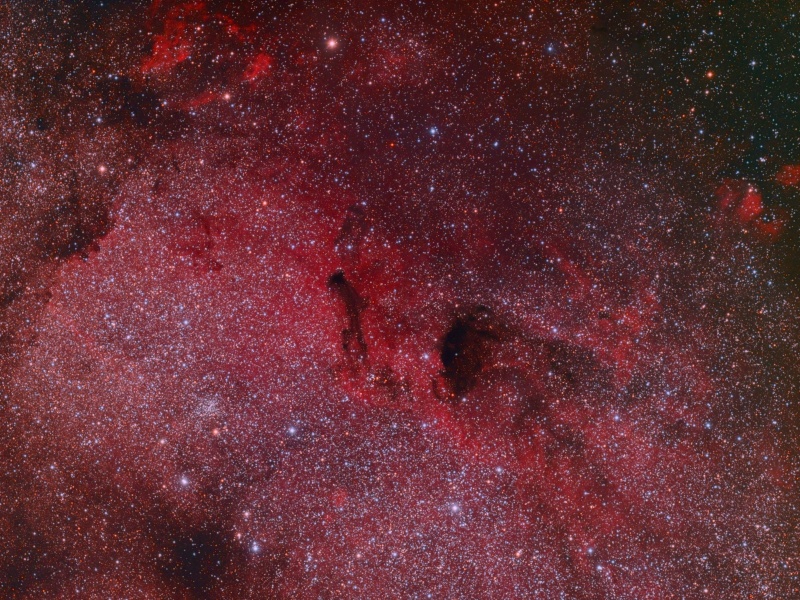Dust Cloud