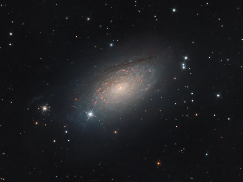 Galaxy