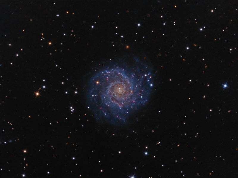 Galaxy