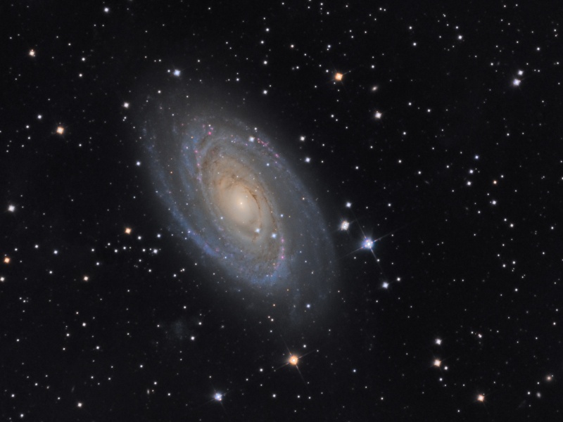 Galaxy