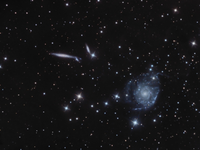 Galaxy