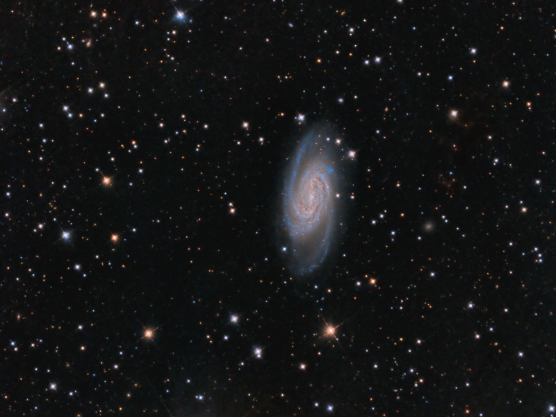 Galaxy