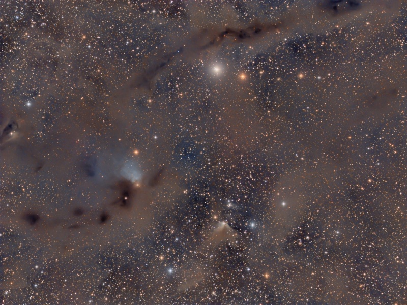Dust Cloud